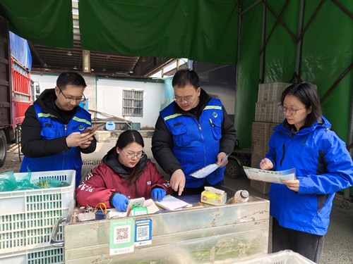 必一运动bsport体育