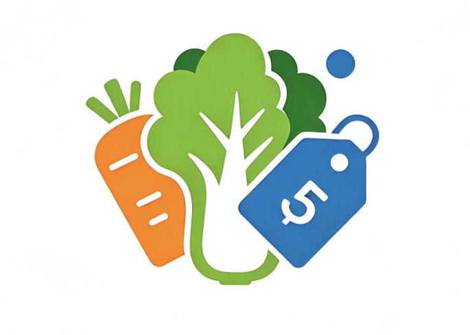 必一运动bsport体育