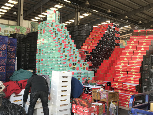 必一运动bsport体育