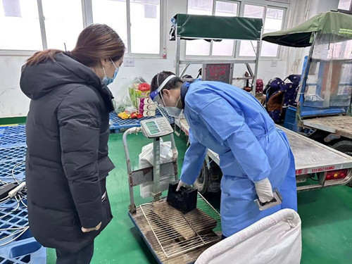 必一运动bsport体育