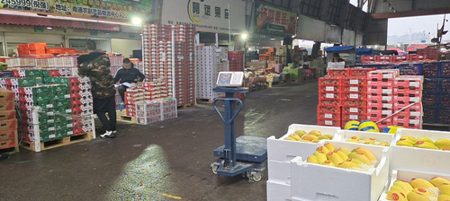 必一运动bsport体育