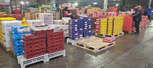 必一运动bsport体育