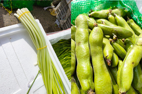 必一运动bsport体育