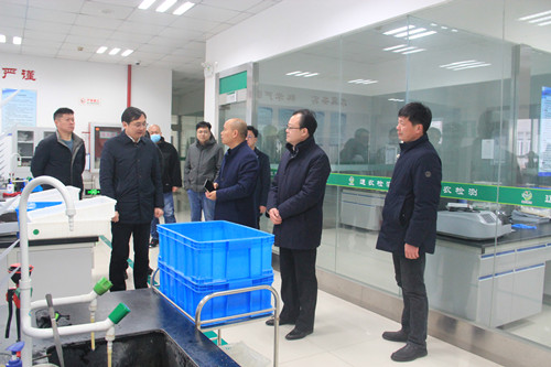 必一运动bsport体育