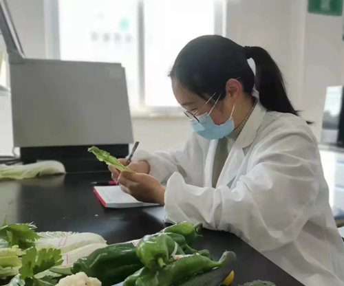 必一运动bsport体育