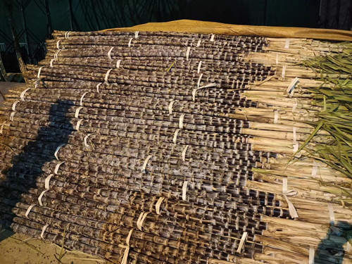 必一运动bsport体育