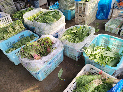 必一运动bsport体育