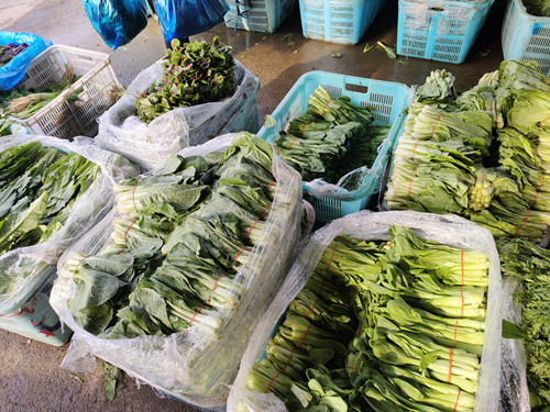 必一运动bsport体育