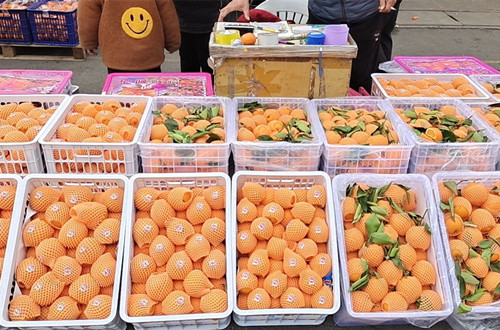 必一运动bsport体育