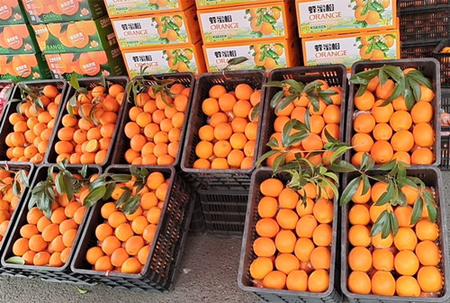 必一运动bsport体育