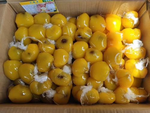 必一运动bsport体育