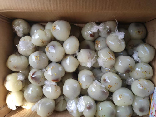 必一运动bsport体育