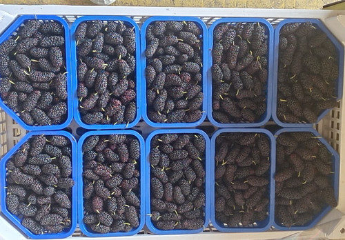 必一运动bsport体育