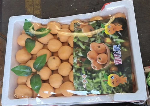 必一运动bsport体育