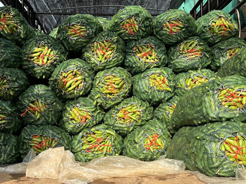 必一运动bsport体育