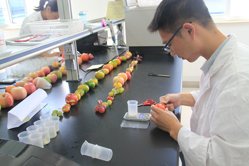 必一运动bsport体育