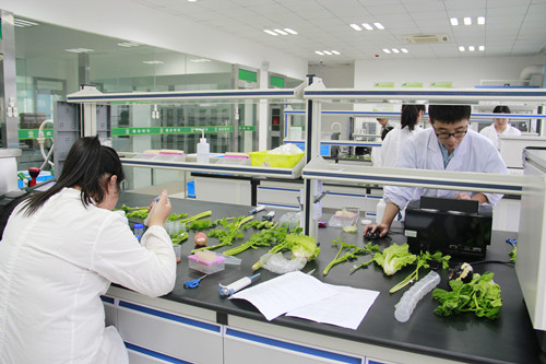 必一运动bsport体育