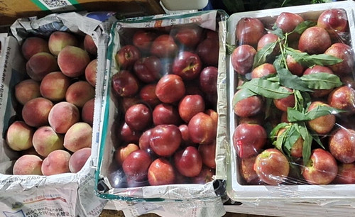 必一运动bsport体育