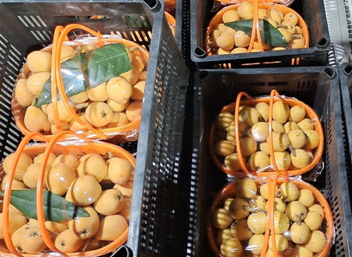 必一运动bsport体育