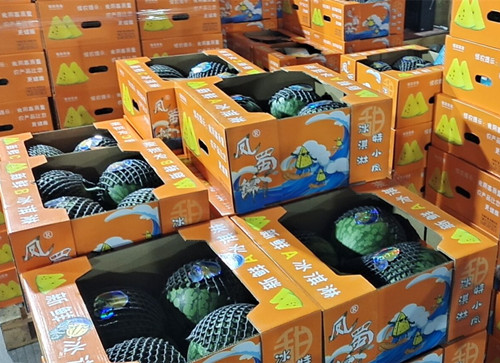 必一运动bsport体育