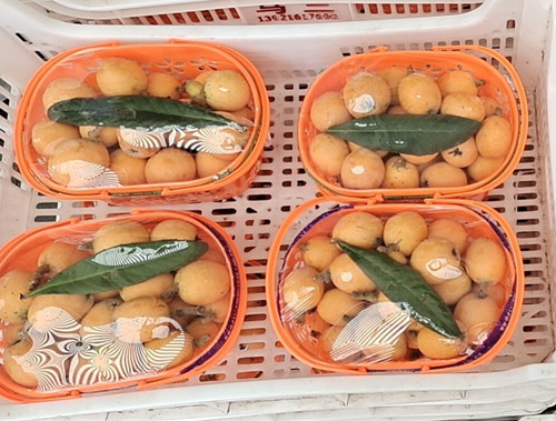 必一运动bsport体育