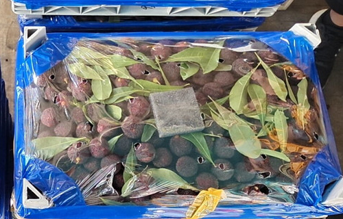 必一运动bsport体育