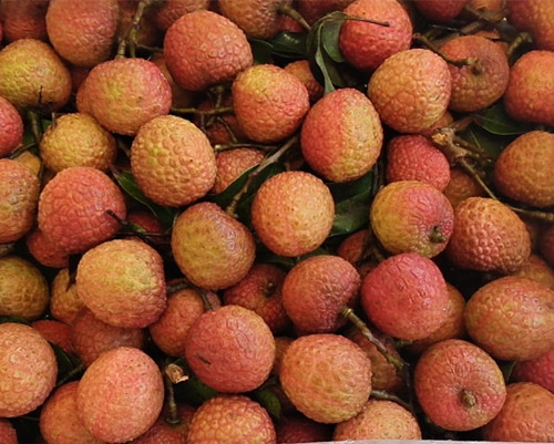 必一运动bsport体育