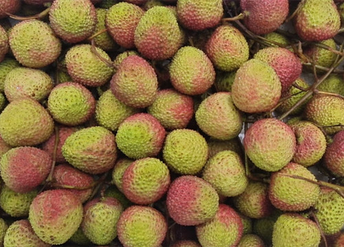 必一运动bsport体育