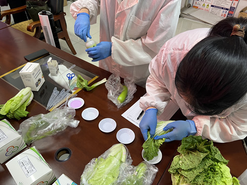 必一运动bsport体育