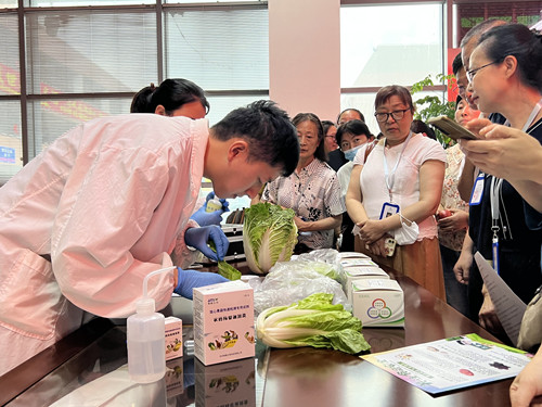 必一运动bsport体育