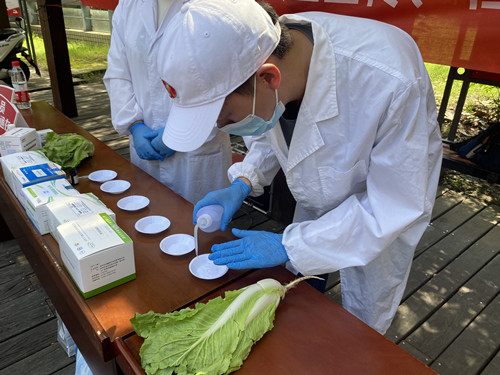 必一运动bsport体育