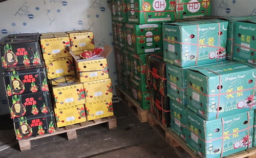 必一运动bsport体育