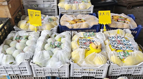 必一运动bsport体育