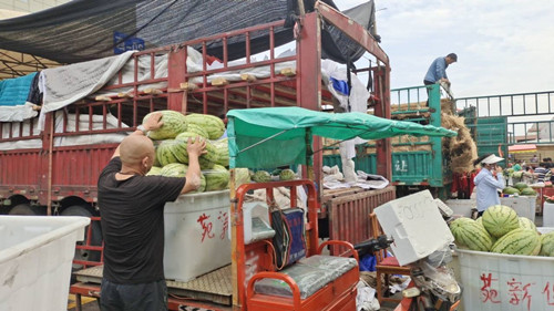 必一运动bsport体育