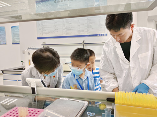 必一运动bsport体育