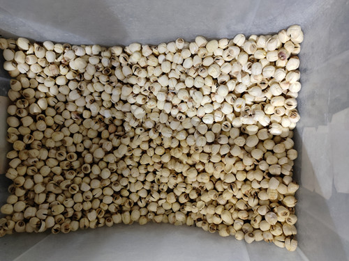 必一运动bsport体育