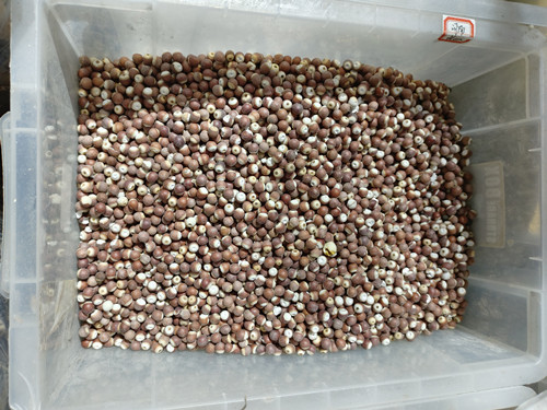 必一运动bsport体育