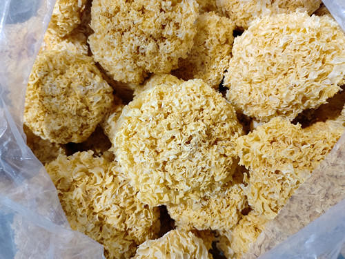 必一运动bsport体育