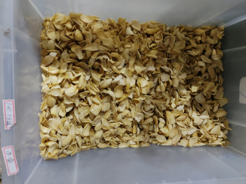 必一运动bsport体育