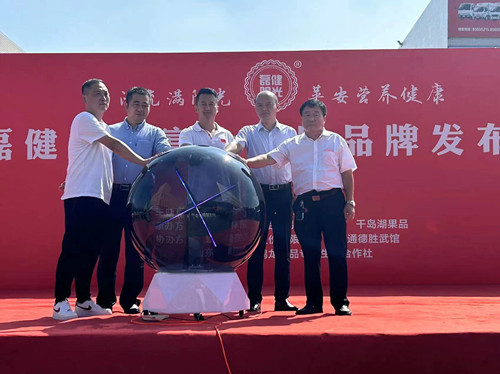 必一运动bsport体育