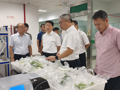 必一运动bsport体育