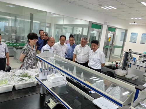 必一运动bsport体育