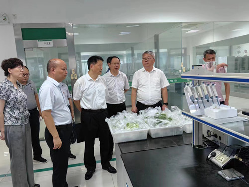 必一运动bsport体育