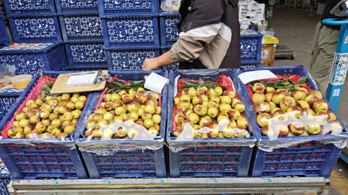 必一运动bsport体育