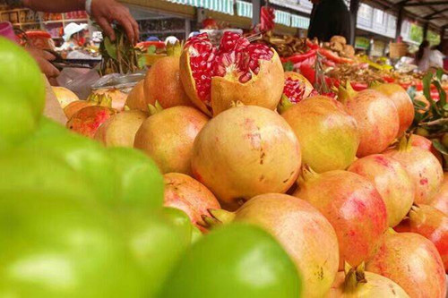 必一运动bsport体育