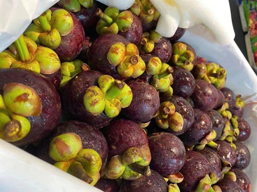 必一运动bsport体育