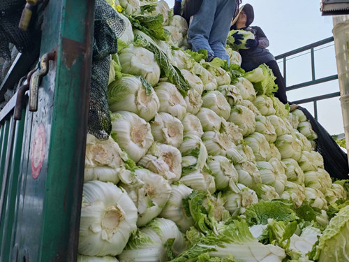 必一运动bsport体育