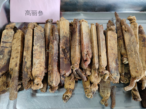 必一运动bsport体育