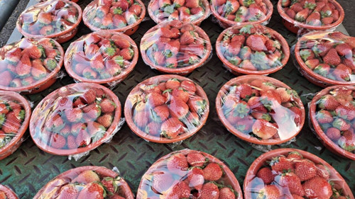 必一运动bsport体育