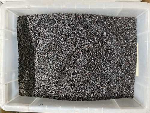 必一运动bsport体育